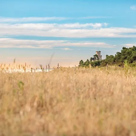 Cavalluccio Marino I3 Silvi Vacanza *